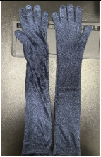 Giselle Long Gloves